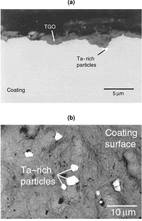 Ta-rich phase formation