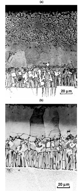 Aluminized coating microstructure